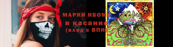 apvp Иннополис