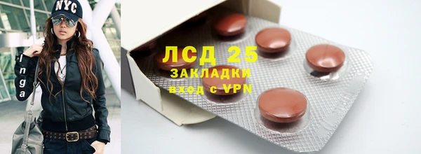 apvp Иннополис