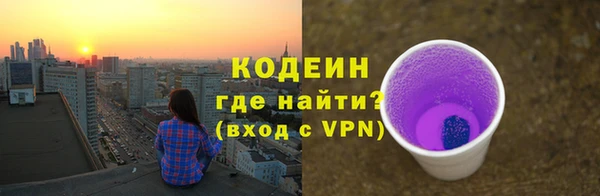 apvp Иннополис
