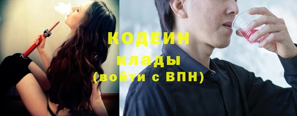 apvp Иннополис