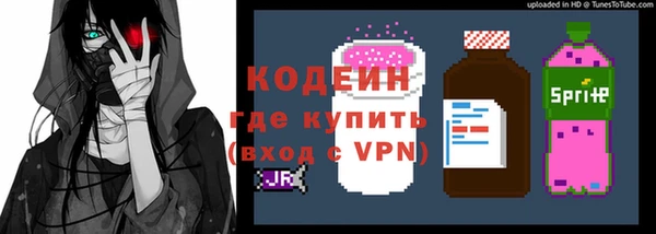 apvp Иннополис