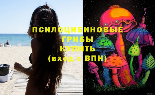 ГАЛЛЮЦИНОГЕННЫЕ ГРИБЫ Инта
