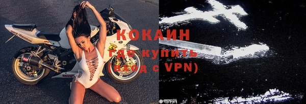 apvp Иннополис