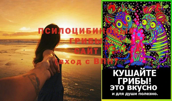 ГАЛЛЮЦИНОГЕННЫЕ ГРИБЫ Инта