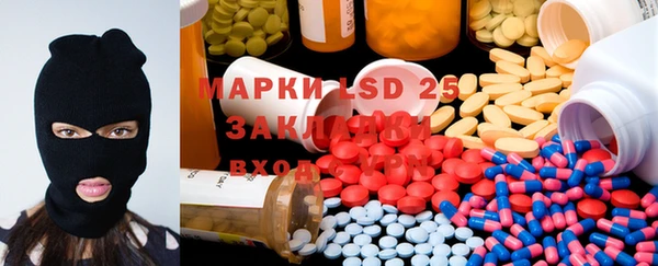 ГАЛЛЮЦИНОГЕННЫЕ ГРИБЫ Инта