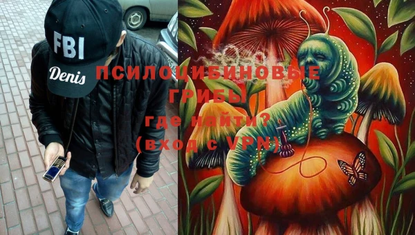 прущая мука Инсар