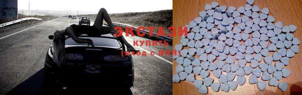 ГАЛЛЮЦИНОГЕННЫЕ ГРИБЫ Инта