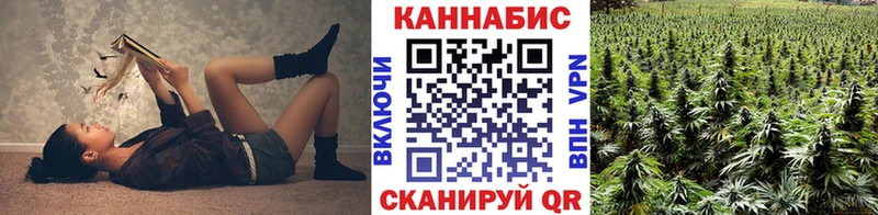 Бошки Шишки SATIVA & INDICA  Купить закладки  Киреевск 
